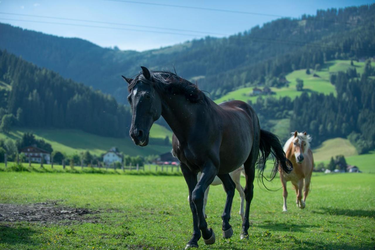 Ranstl Ferienwohnungen フラッハウ エクステリア 写真